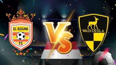 مشاهدة مباراة الجونة و وادي دجلة بث مباشر