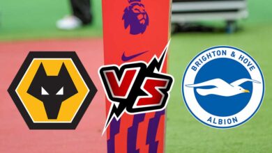 مشاهدة مباراة برايتون و وولفرهامبتون بث مباشر