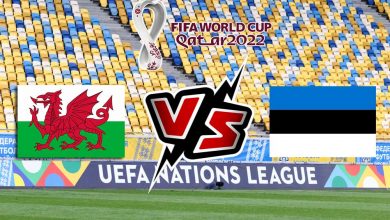 مشاهدة مباراة ويلز و إستونيا بث مباشر اليوم