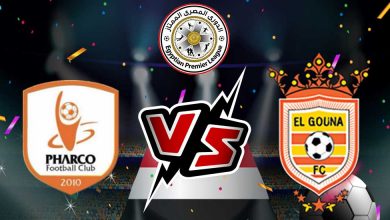 مشاهدة مباراة الجونة و فاركو بث مباشر