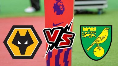 نوريتش سيتي و وولفرهامبتون بث مباشر