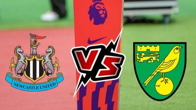 نيوكاسل يونايتد و نوريتش سيتي بث مباشر