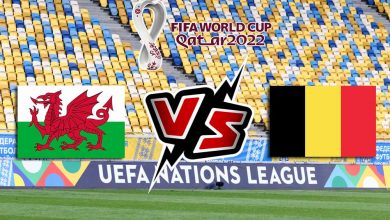 ويلز و بلجيكا بث مباشر