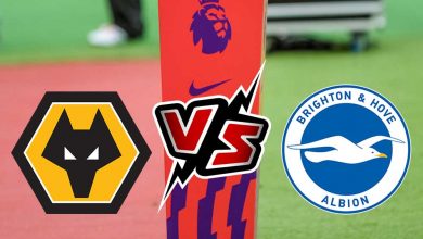 برايتون و وولفرهامبتون بث مباشر