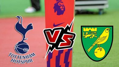 توتنهام هوتسبير و نوريتش سيتي بث مباشر