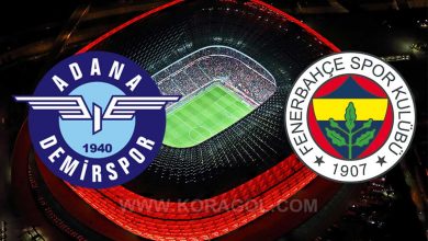 فنربخشة و أضنة ديمرسبور بث مباشر