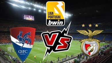 بنفيكا و جل فيسنتي بث مباشر