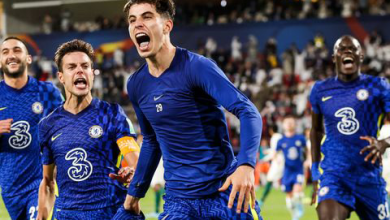 تشيلســـــــــــــــــــي