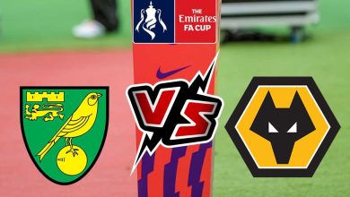 وولفرهامبتون و نوريتش سيتي بث مباشر