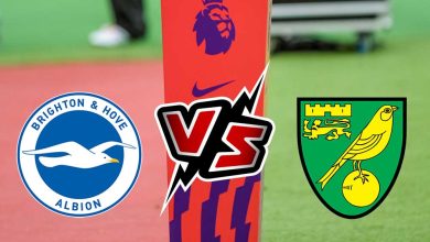 برايتون و نوريتش سيتي بث مباشر