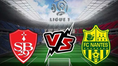 ستاد بريست 29 و نانت بث مباشر