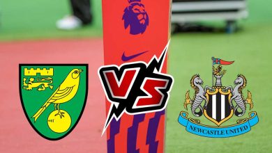 نيوكاسل يونايتد و نوريتش سيتي بث مباشر