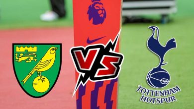 توتنهام هوتسبير و نوريتش سيتي بث مباشر