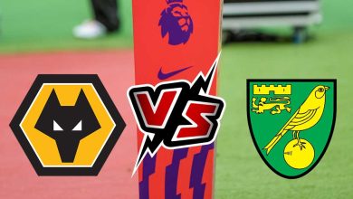 وولفرهامبتون و نوريتش سيتي بث مباشر