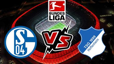 شالكه 04 و هوفنهايم بث مباشر