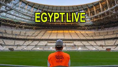 Egypt live